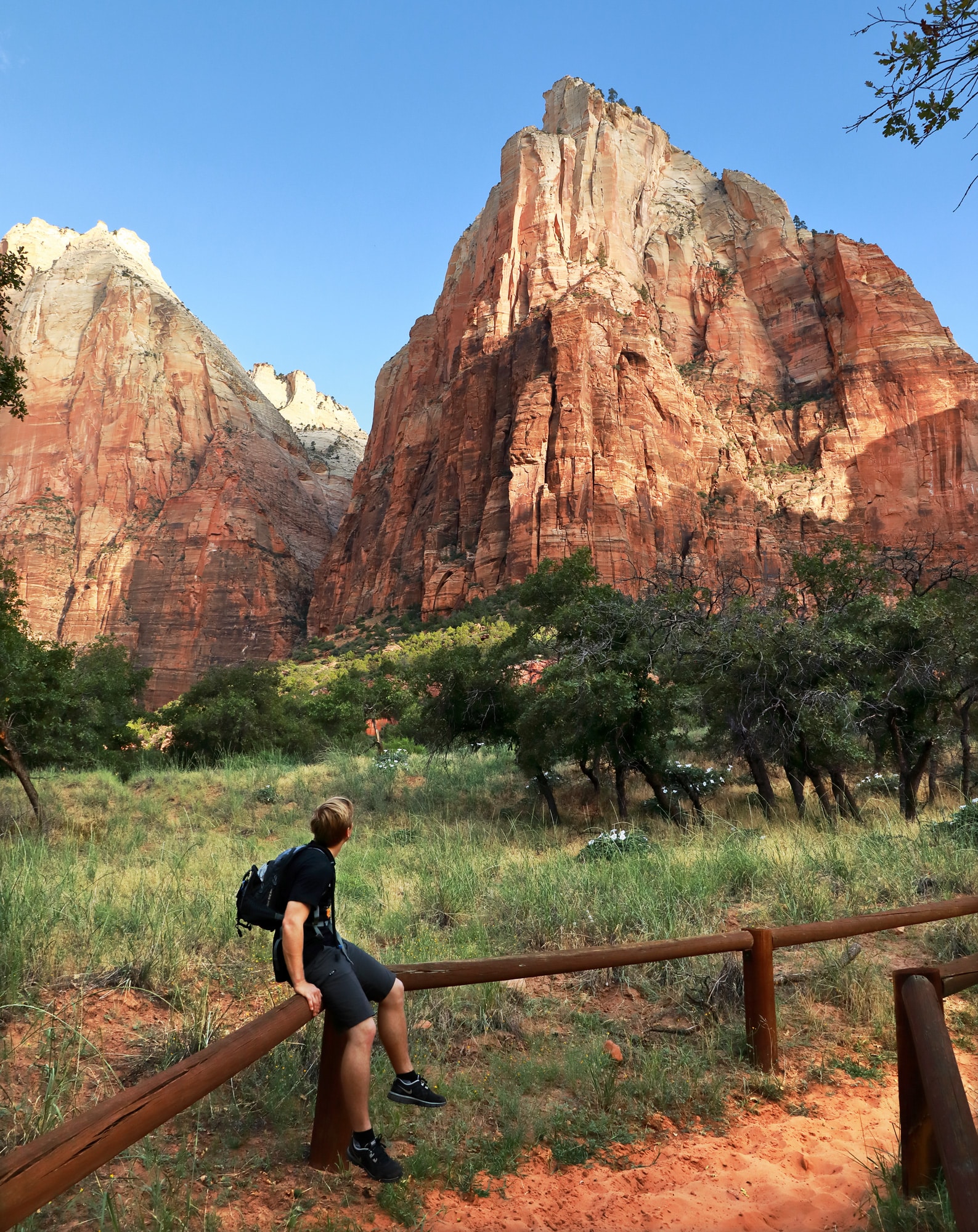 zion national park