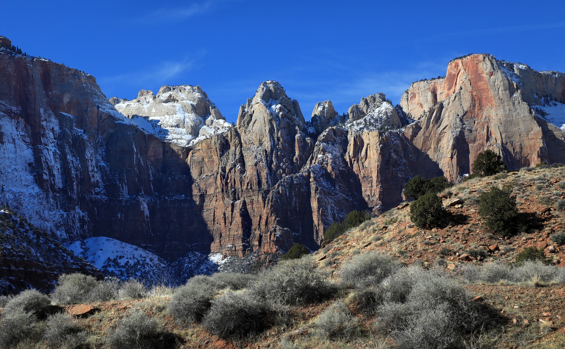 Featured image for “Winter Scenes – Zion Park”