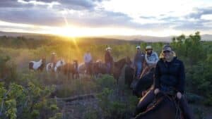 a group of people standing on top of a grass covered field