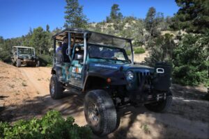 Guided Jeep tours