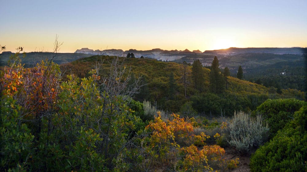 Featured image for “East Zion Adventures Fall Bucket List”