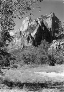 The Sentinel Zion National Park