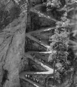 The steep and rocky terrain of this trail is a good spot to find bighorn sheep