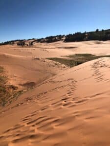 a close up of a sand covered dune at Coral Pink Sand Dunes State Park in the background