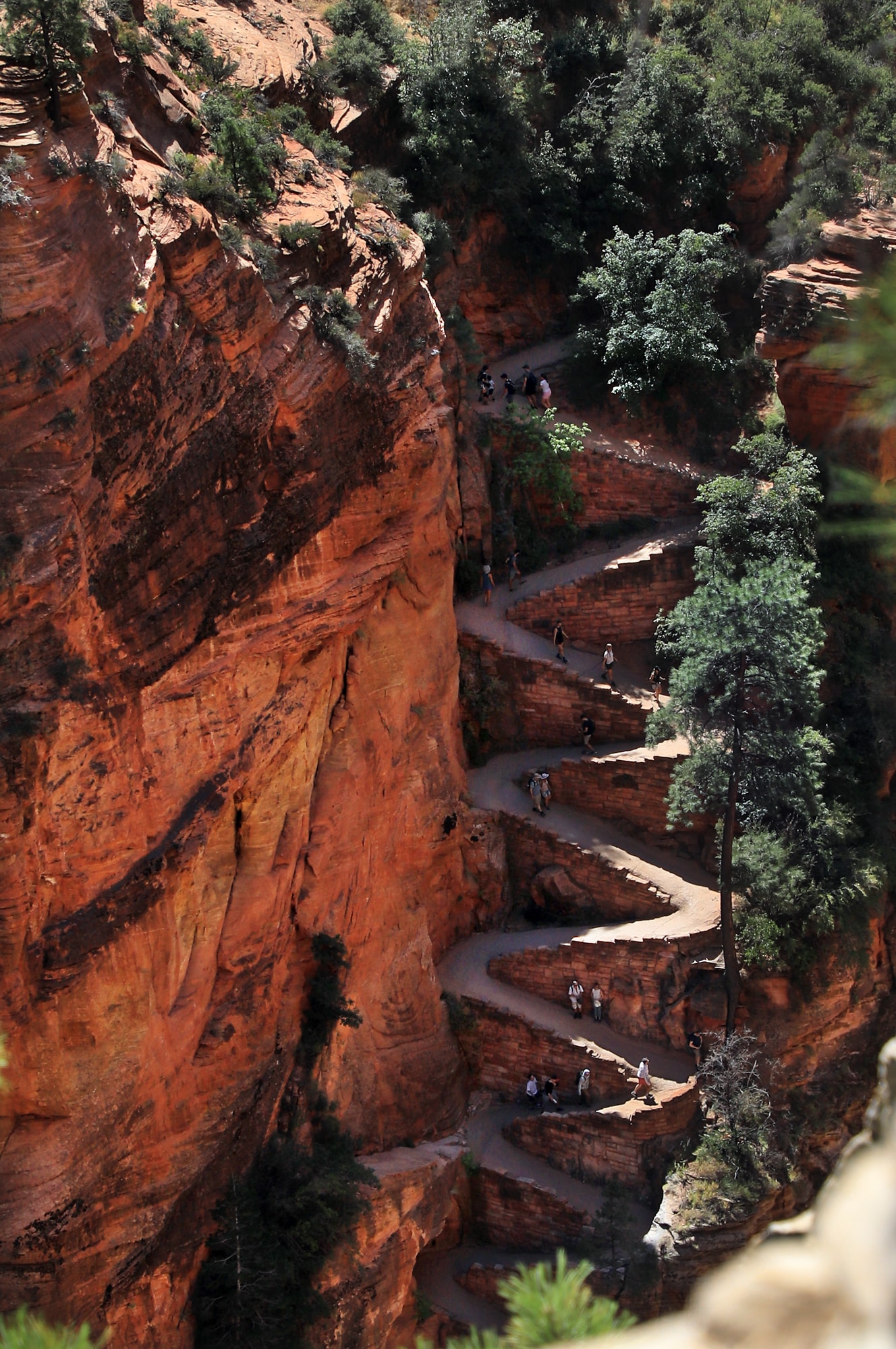 Featured image for “Stairway to Angels Landing: Hiking the Walter’s Wiggles Switchbacks”