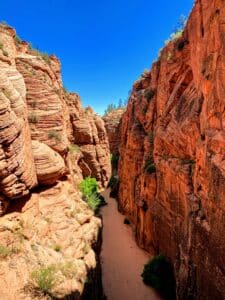 a canyon with a mountain in the background