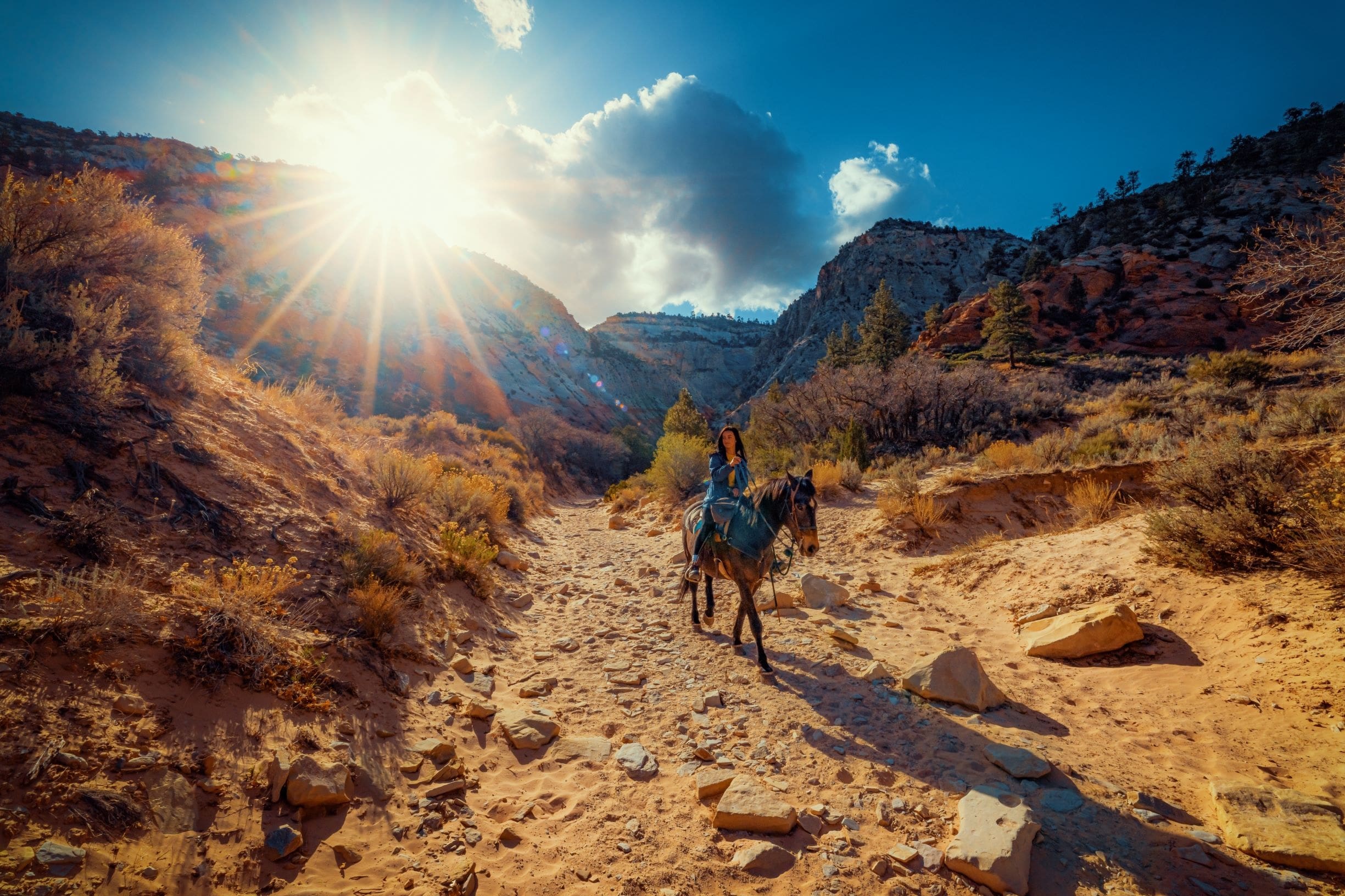 Featured image for “White Sands Sunset Horseback Ride”