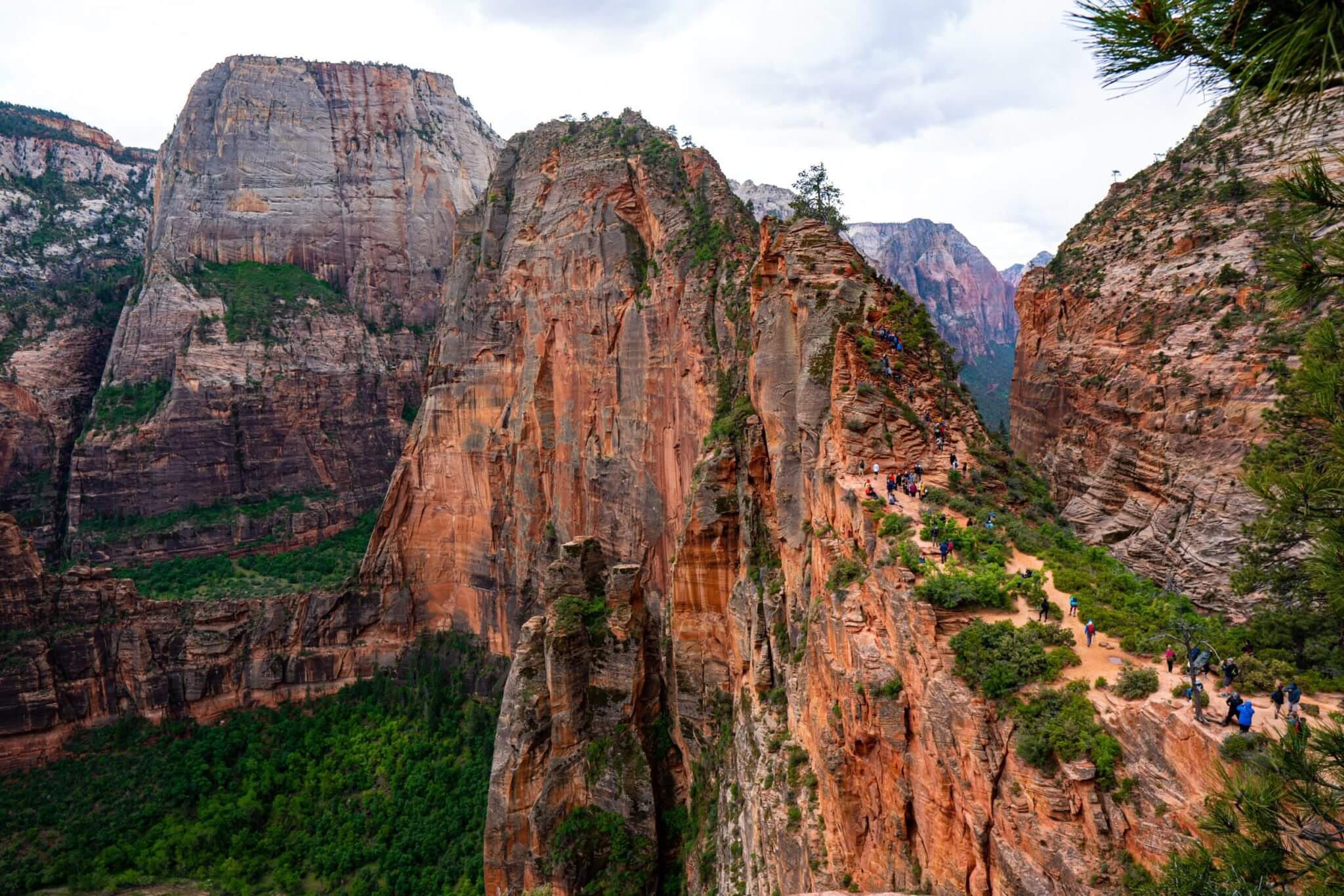 Featured image for “Angels Landing Hike”