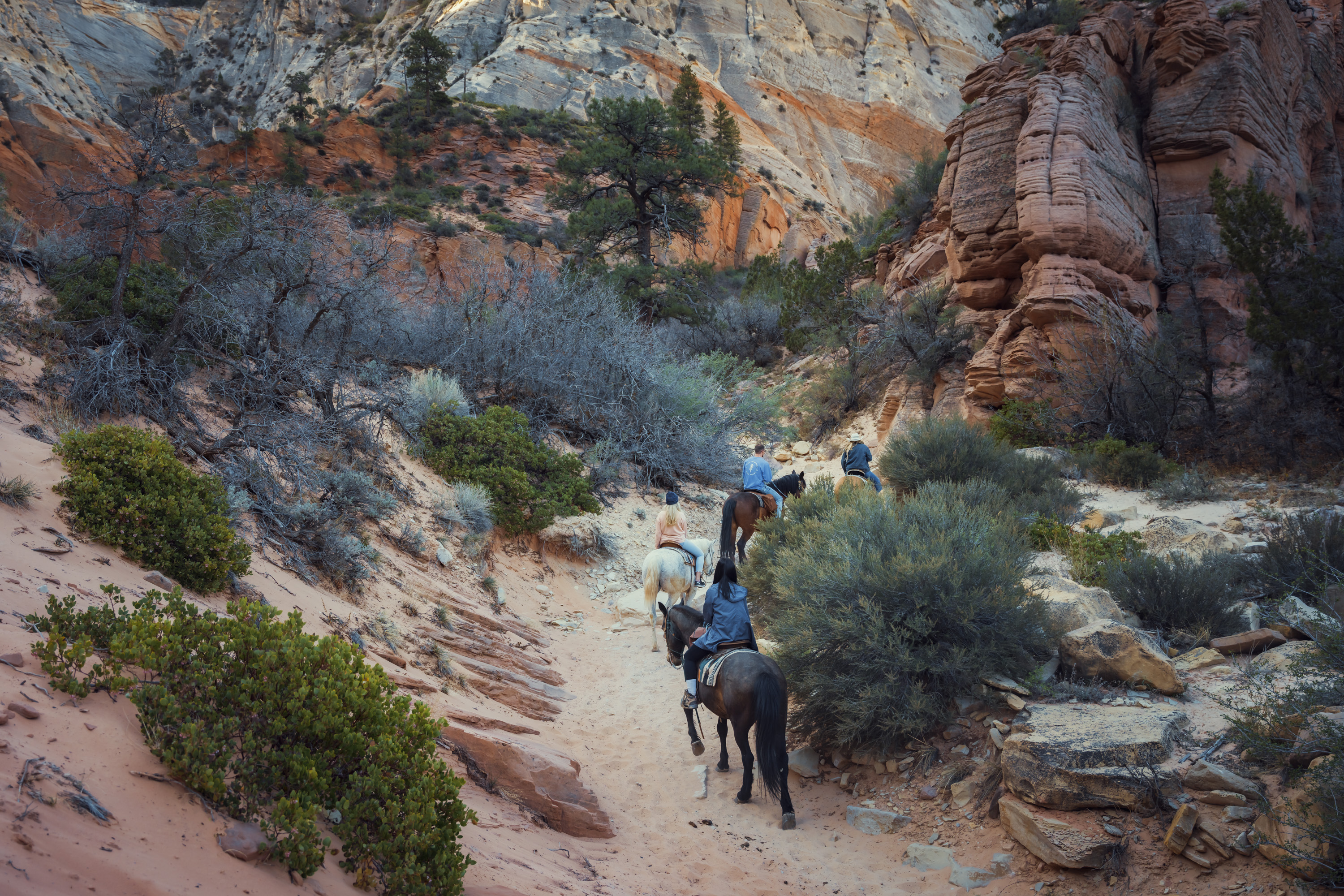 White Mountain Horseback Ride