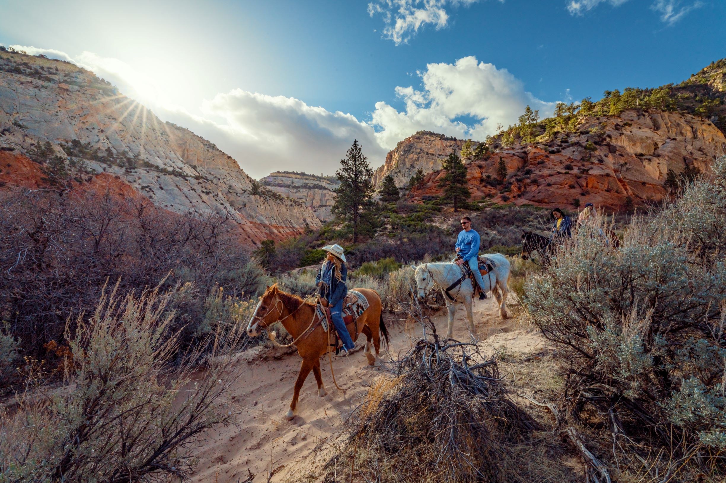 Featured image for “White Mountain Horseback Ride”