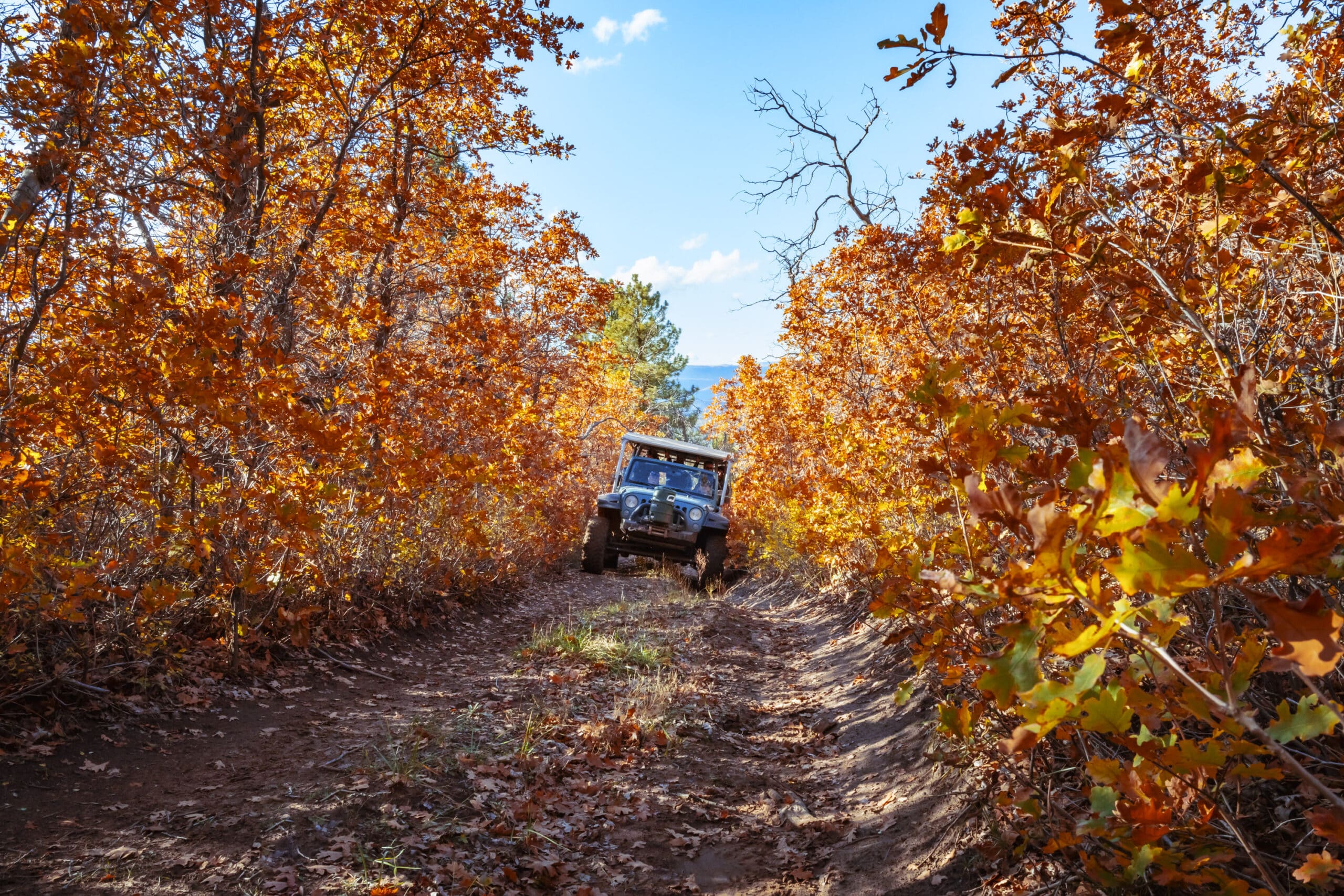 Brushy Cove Fall Jeep Tour 14 Image