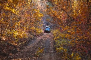 A jeep driving through fall leaves