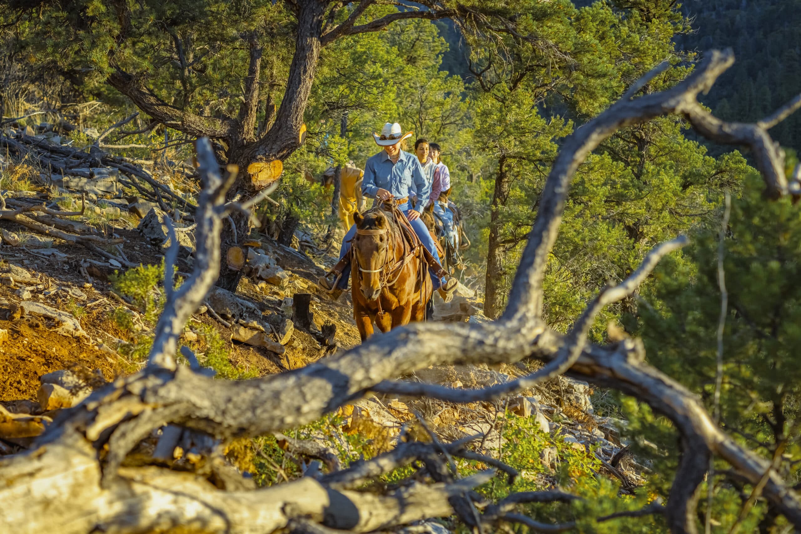 Checkerboard Horseback Ride Guided Tour near Zion
