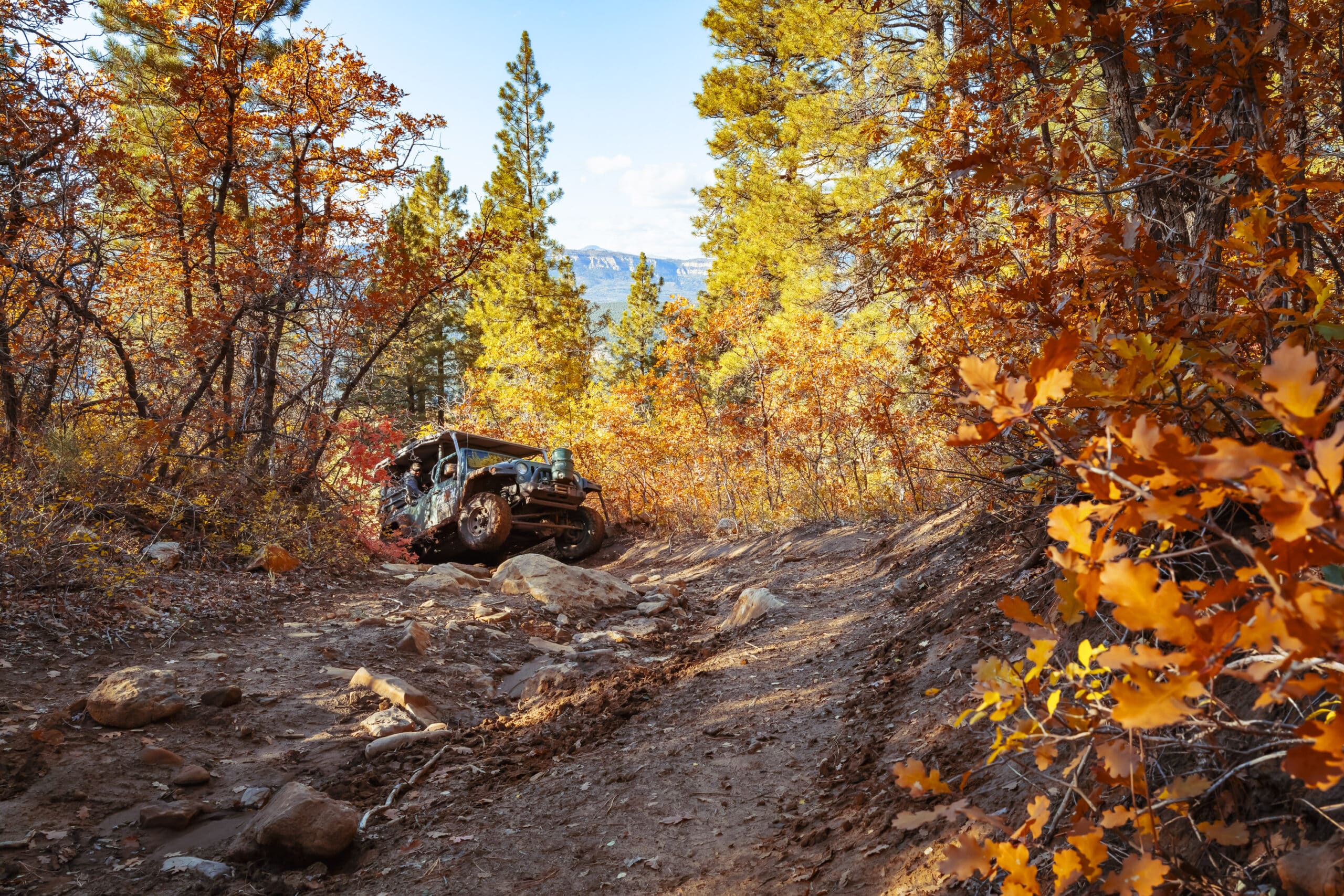 Brushy Cove Fall Jeep Tour 13 Image