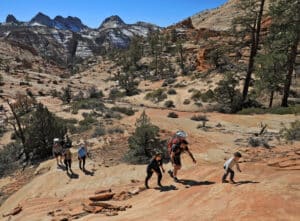 People hiking in East Zion