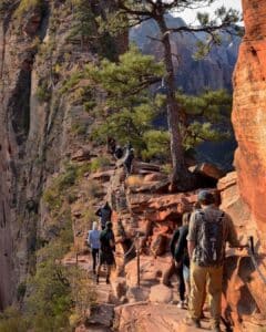 People hiking angels landing in Zion National Park