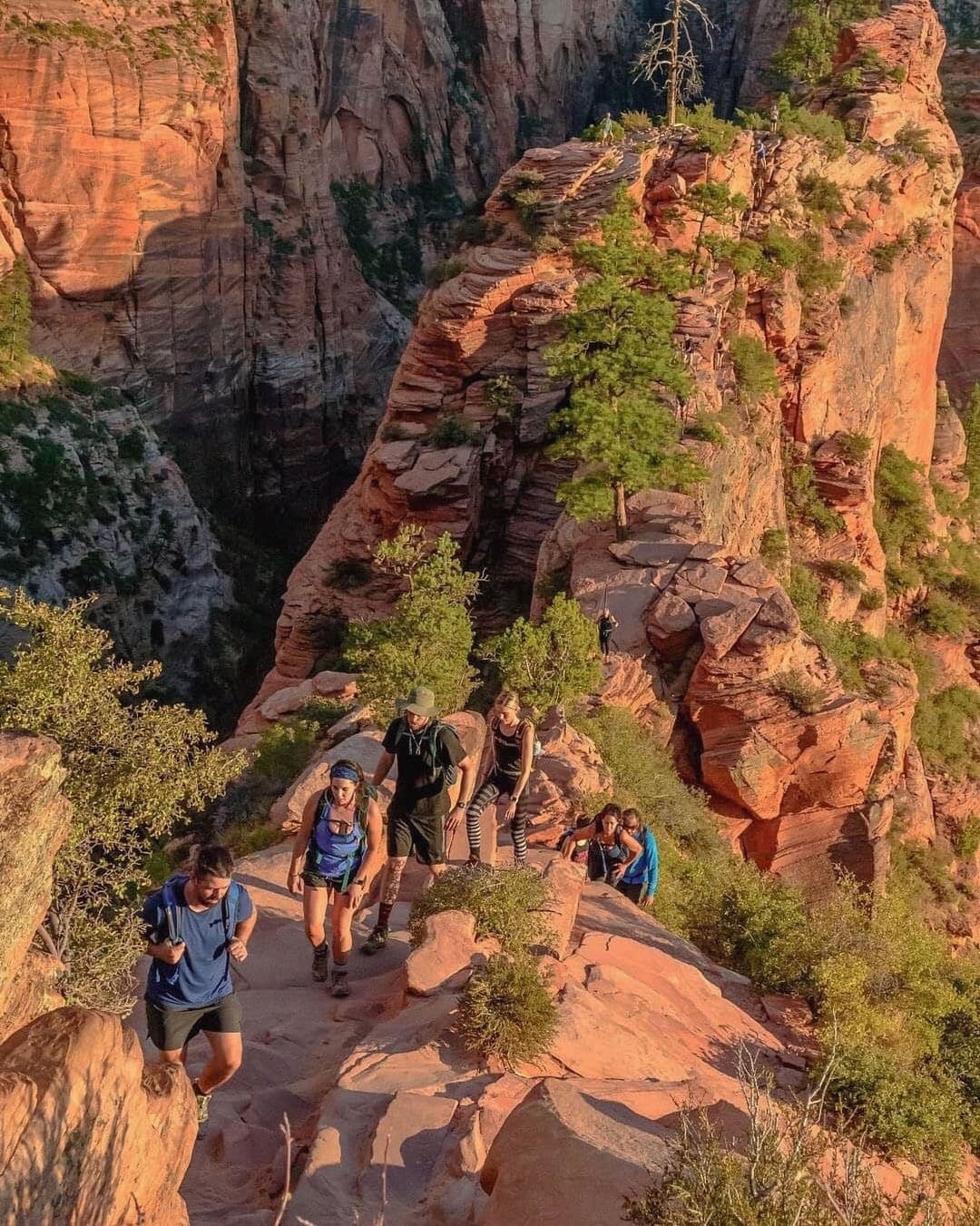 Featured image for “Top 5 Adventure Hikes In Zion National Park”