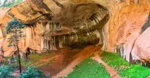 Taylor Creek in Zion National Park