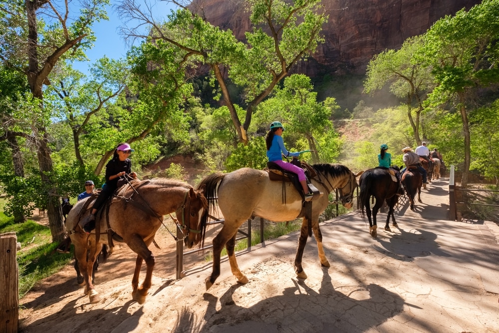 Featured image for “A Guide to Horseback Riding in Zion”