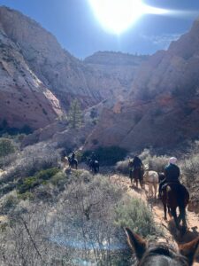 People riding horses in East Zion