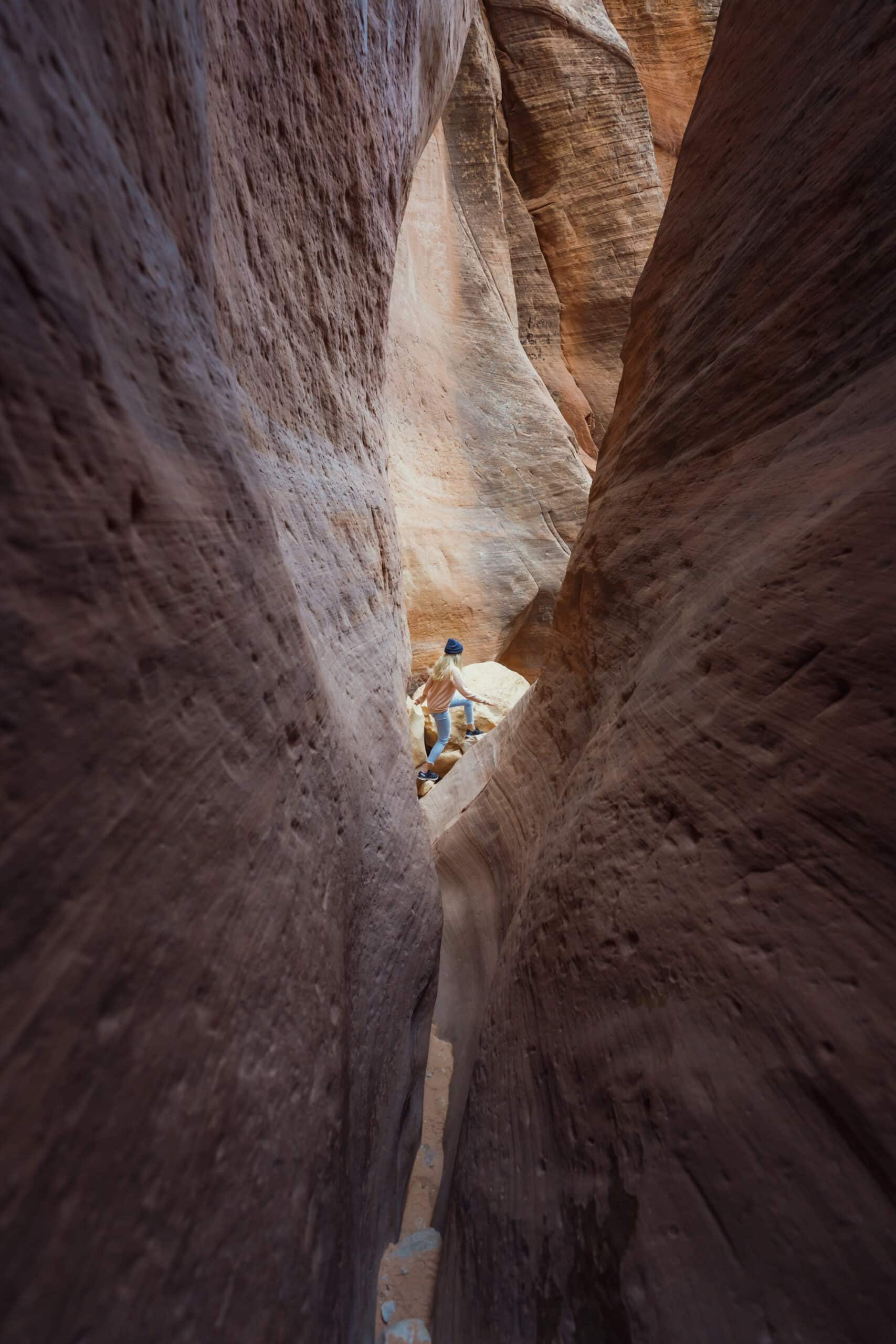 White Mountain Horseback Ride 6 Placeholder Image