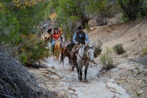 People riding horses