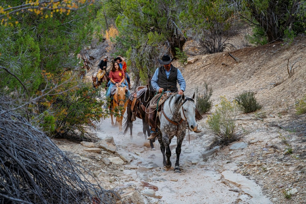 People riding horses