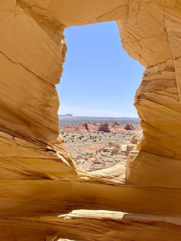 Tomorrowland ロロピアーナ THE WAVE Hiking The Wave in Arizona: Everything you need to know – Bearfoot