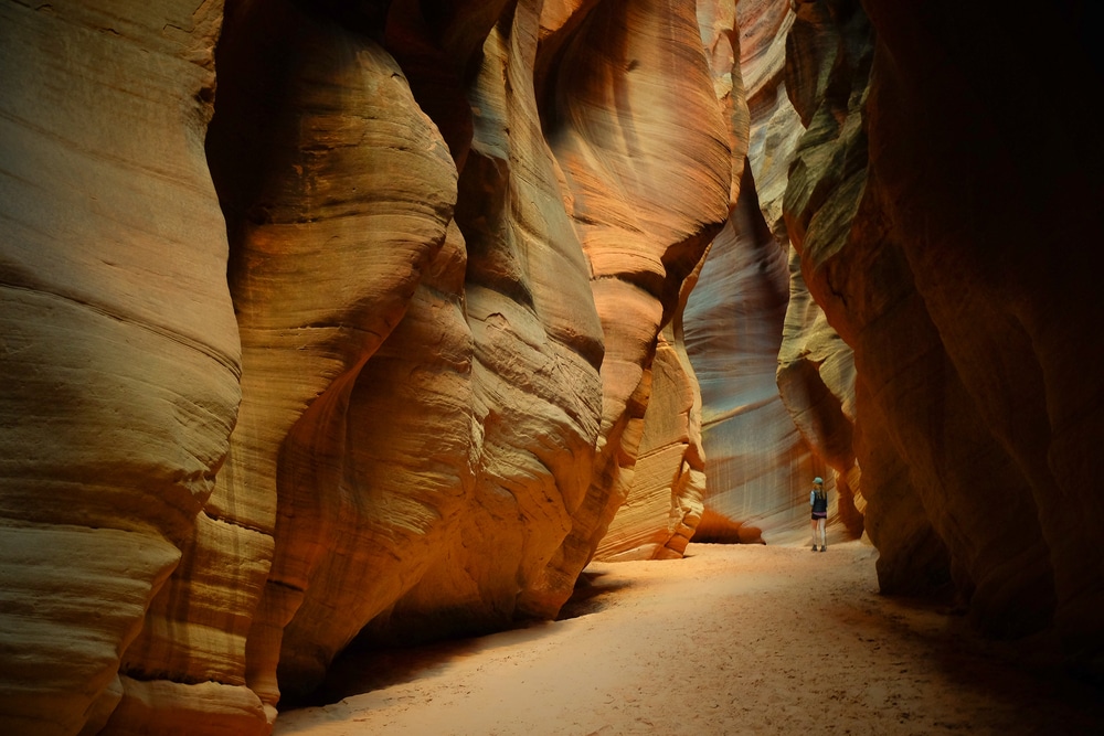 Featured image for “Behind the Scenes: A Day in the Life of an East Zion Adventures Guide”