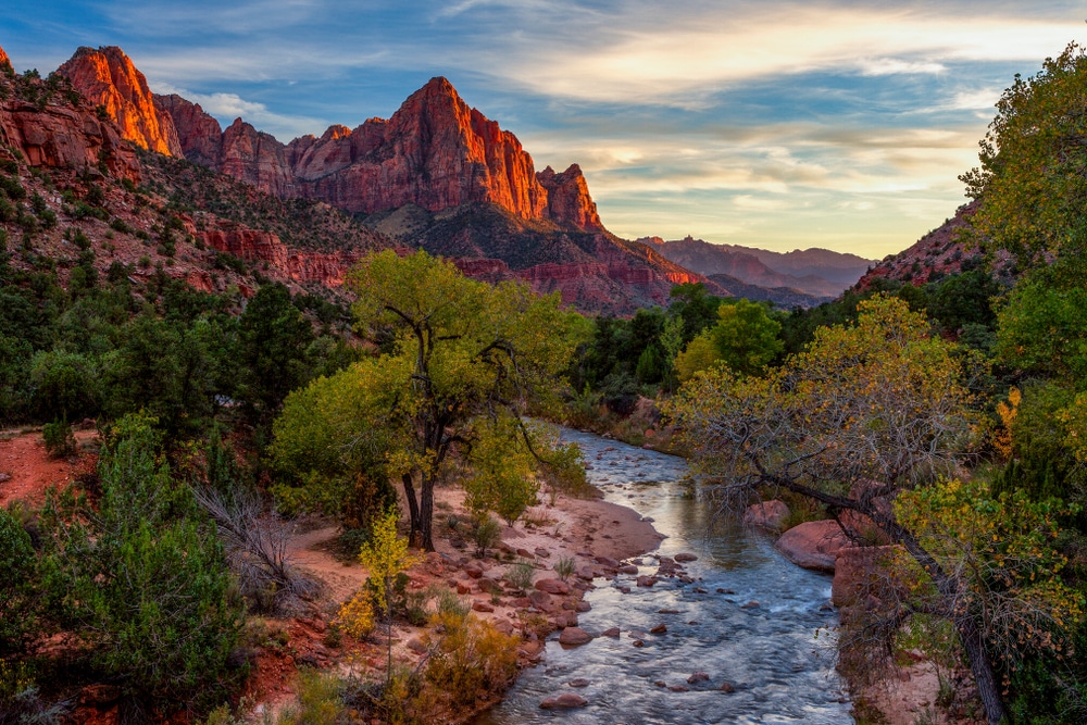 The Wildlife and Flora & Fauna of Zion National Park: A Seasonal Guide