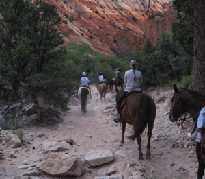 People horseback riding experiencing new East Zion Adventures