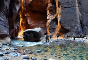 People hiking the Zion Narrows