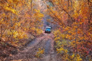 EastZionAdventures