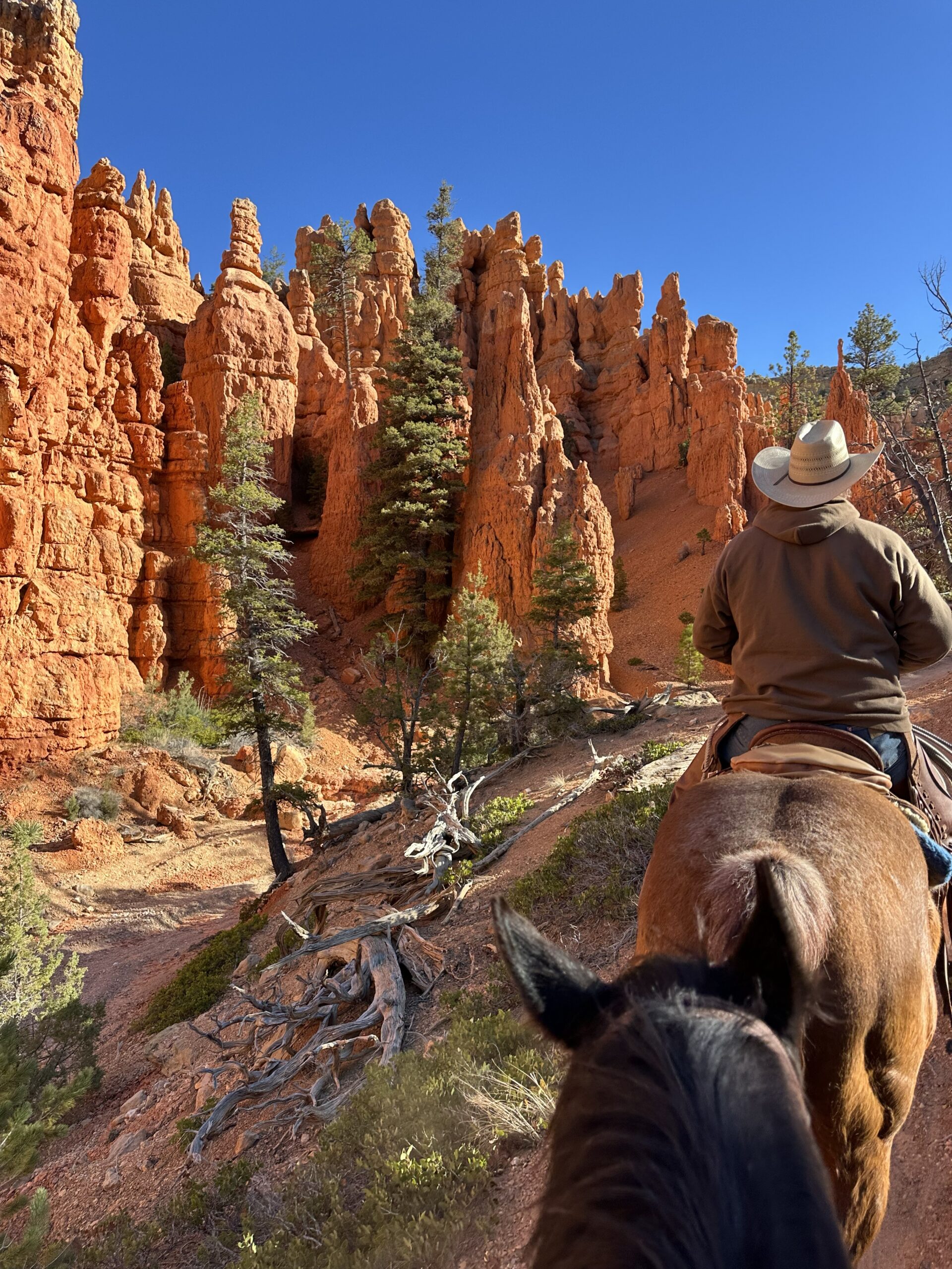 Thunder Mountain VIP Horseback Ride Guided Tour near Zion