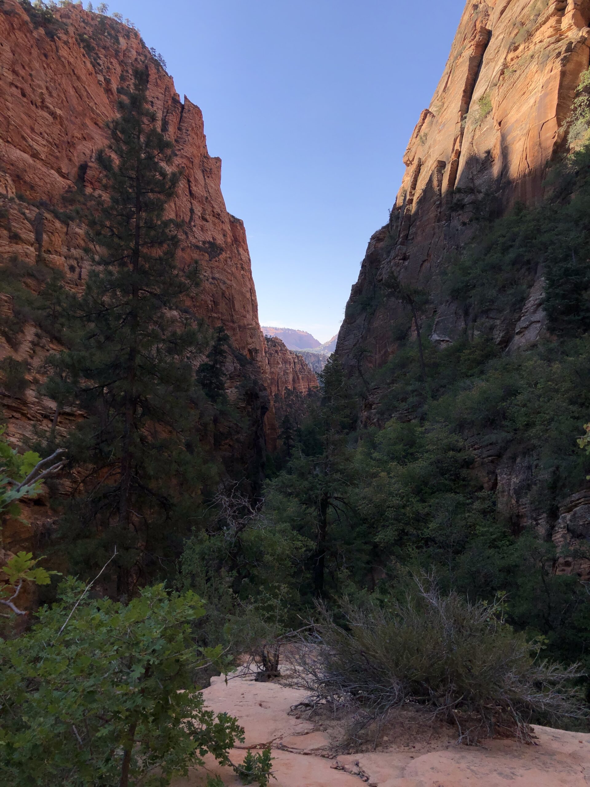 Water Canyon and White Wave 7 Image